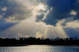 Afternoon Sunrays_46039